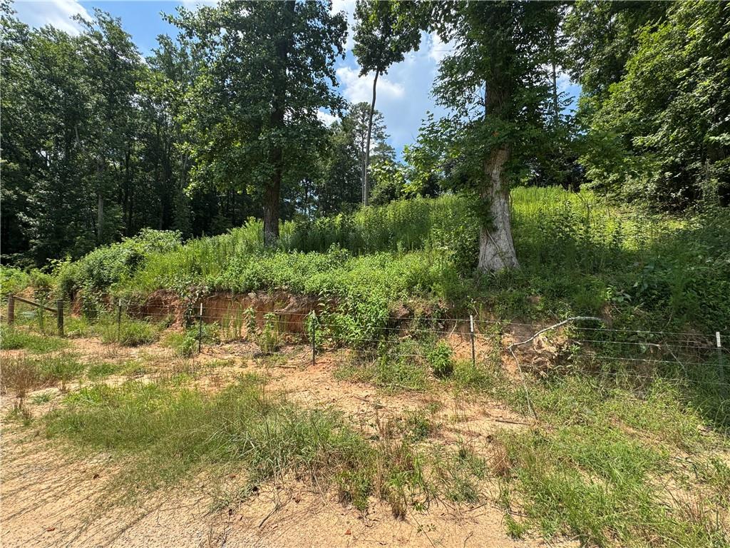 0 Beaver Dam Road Northwest Hoschton, GA 30548 - Photo 11 of 12 a view of a yard with plants and large trees