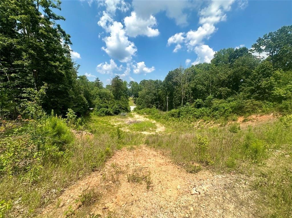 0 Beaver Dam Road Northwest Hoschton, GA 30548 - Photo 7 of 12 a view of yard with green space