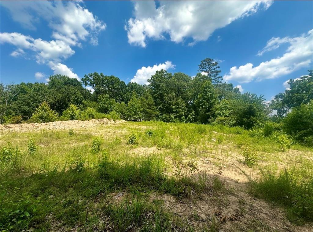 0 Beaver Dam Road Northwest Hoschton, GA 30548 - Photo 8 of 12 a view of a yard with an outdoor space