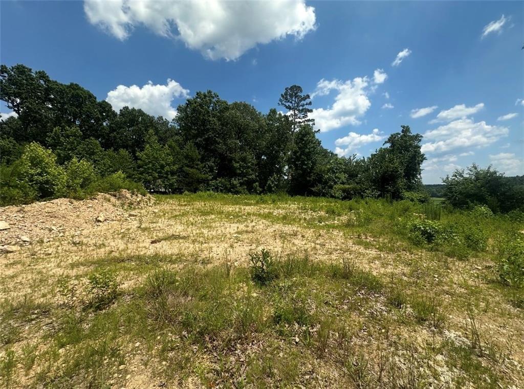 0 Beaver Dam Road Northwest Hoschton, GA 30548 - Photo 9 of 12 a view of a lake