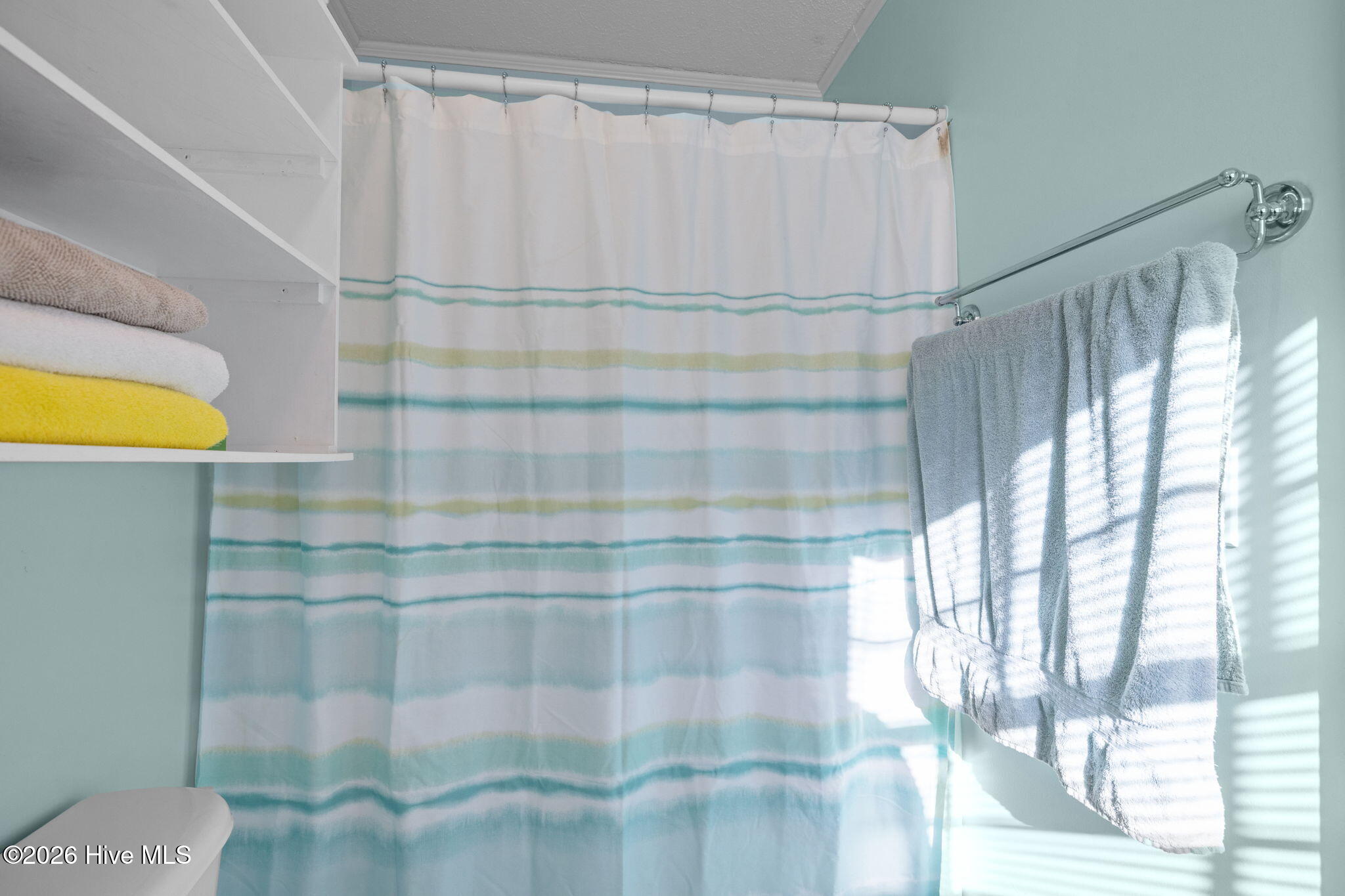 585 Roberts Road Newport, NC 28570 - Photo 15 of 40 19-web-or-mls-1S3A7710