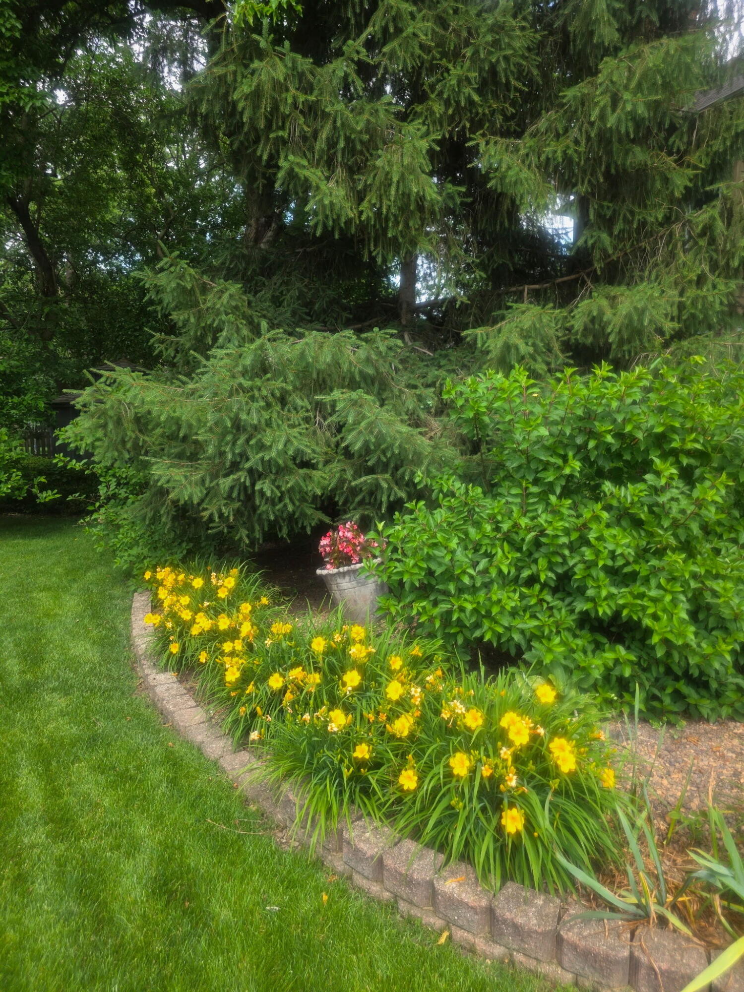 7412 Forest Ridge Drive Schererville, IN 46375 - Photo 55 of 67 1500x2000