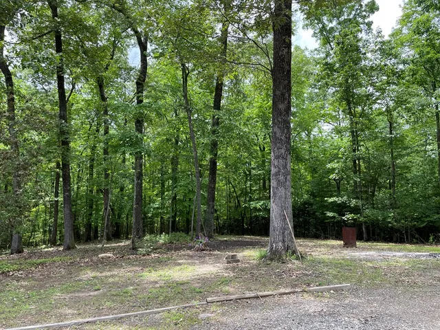 $1,800,000 | 381 Ross Drive, Mineral Bluff, GA 30559