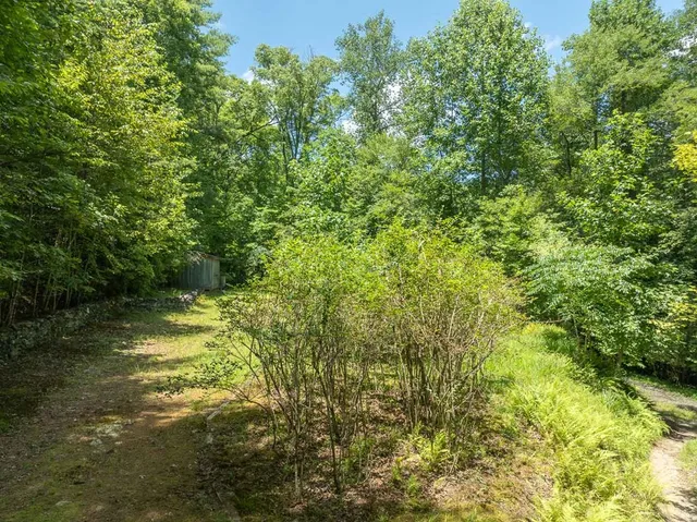 $1,800,000 | 381 Ross Drive, Mineral Bluff, GA 30559