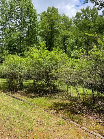 $1,800,000 | 381 Ross Drive, Mineral Bluff, GA 30559