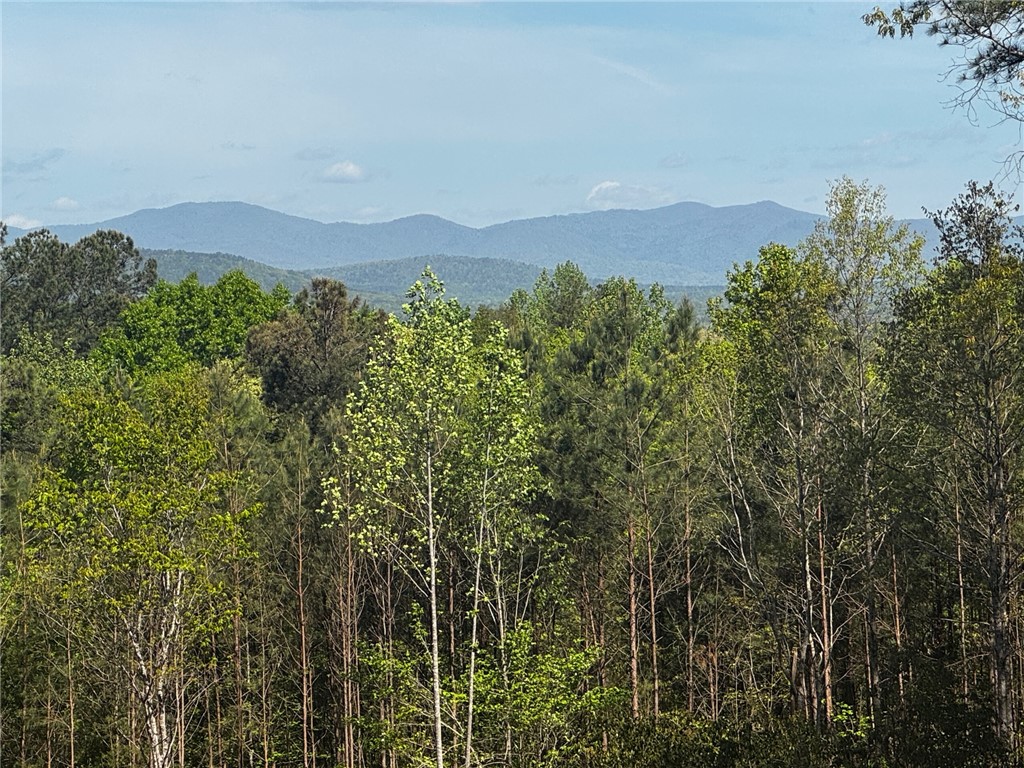 384 Cliffs S Parkway Salem, SC 29676 - Photo 1 of 10