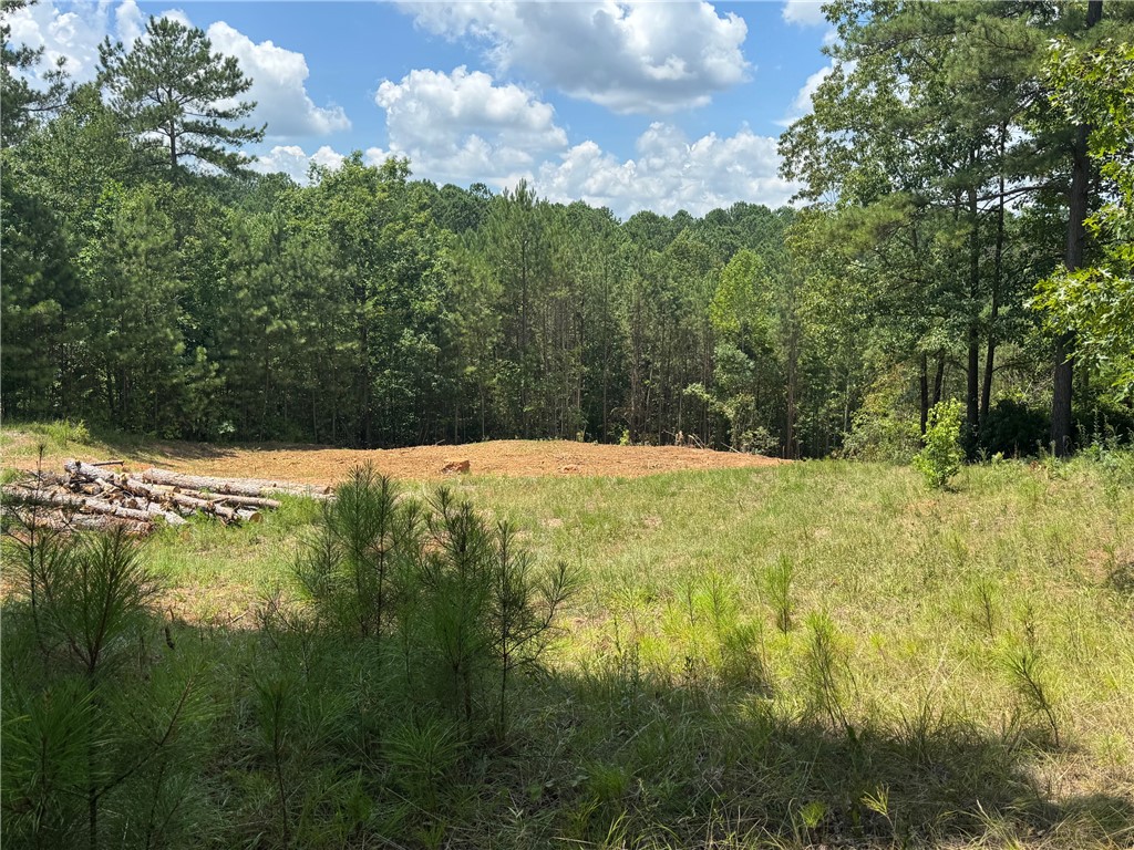 384 Cliffs S Parkway Salem, SC 29676 - Photo 2 of 10