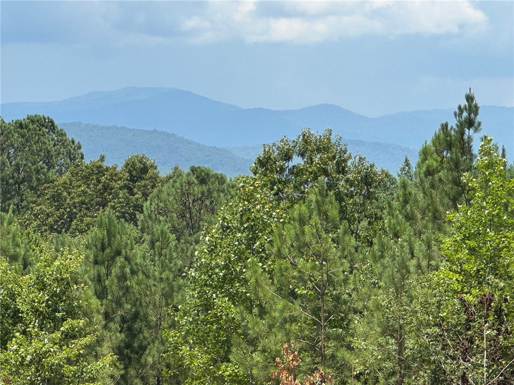 384 Cliffs S Parkway Salem, SC 29676 - Photo 3 of 10
