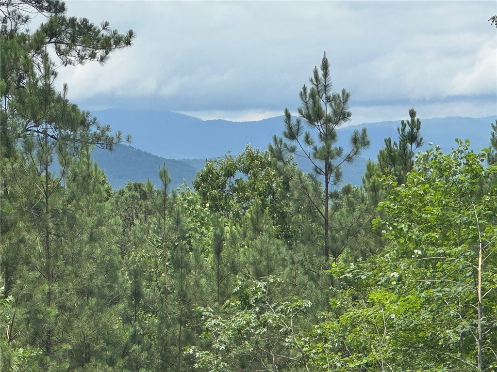 384 Cliffs S Parkway Salem, SC 29676 - Photo 4 of 10