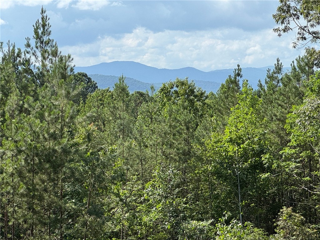 384 Cliffs S Parkway Salem, SC 29676 - Photo 5 of 10