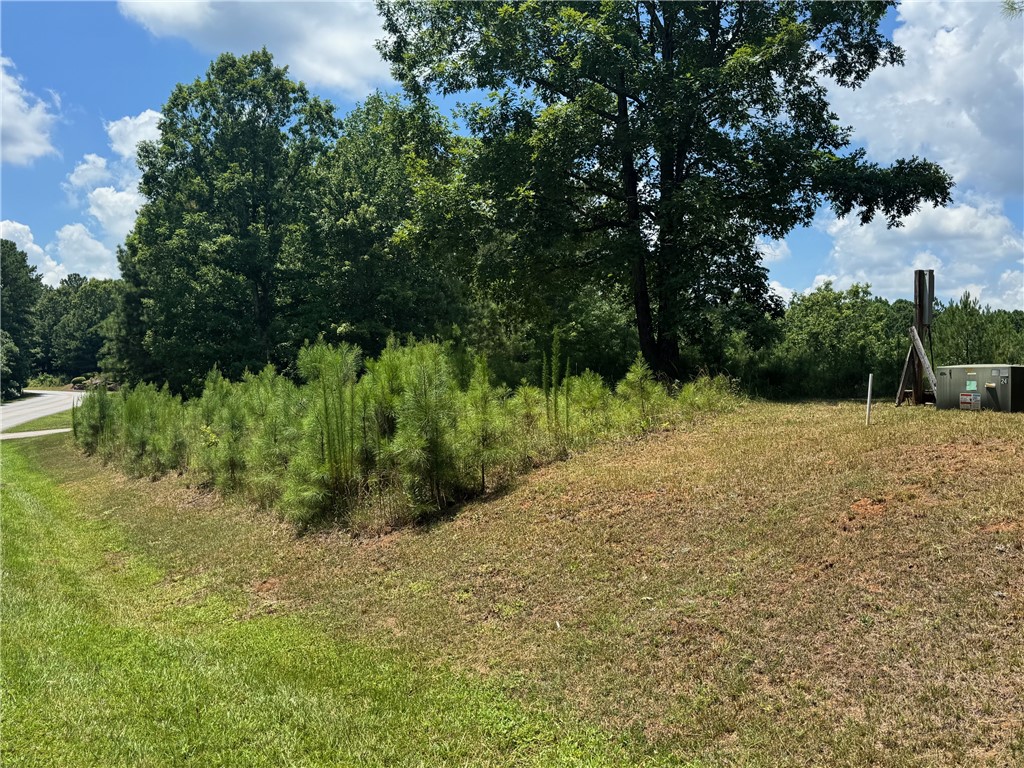 384 Cliffs S Parkway Salem, SC 29676 - Photo 6 of 10