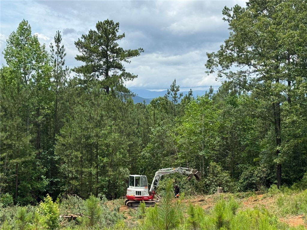 384 Cliffs S Parkway Salem, SC 29676 - Photo 6 of 10