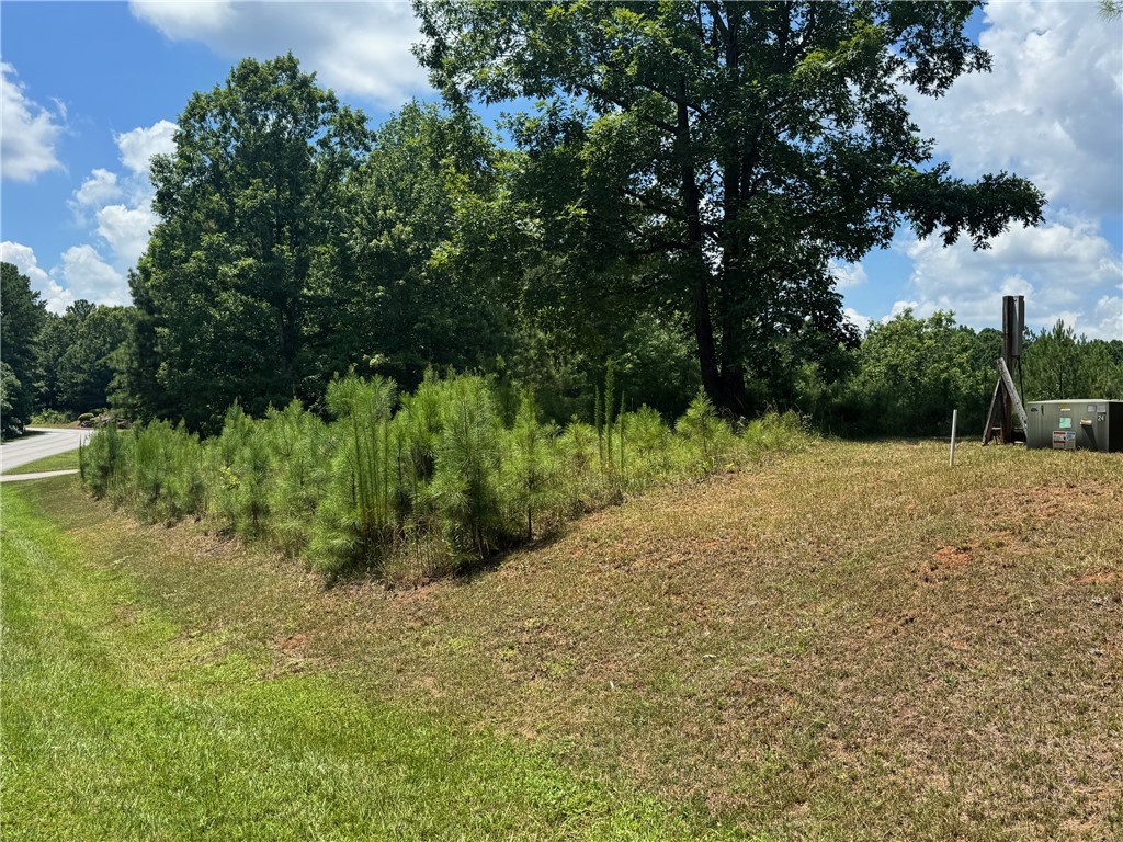 384 Cliffs S Parkway Salem, SC 29676 - Photo 7 of 10