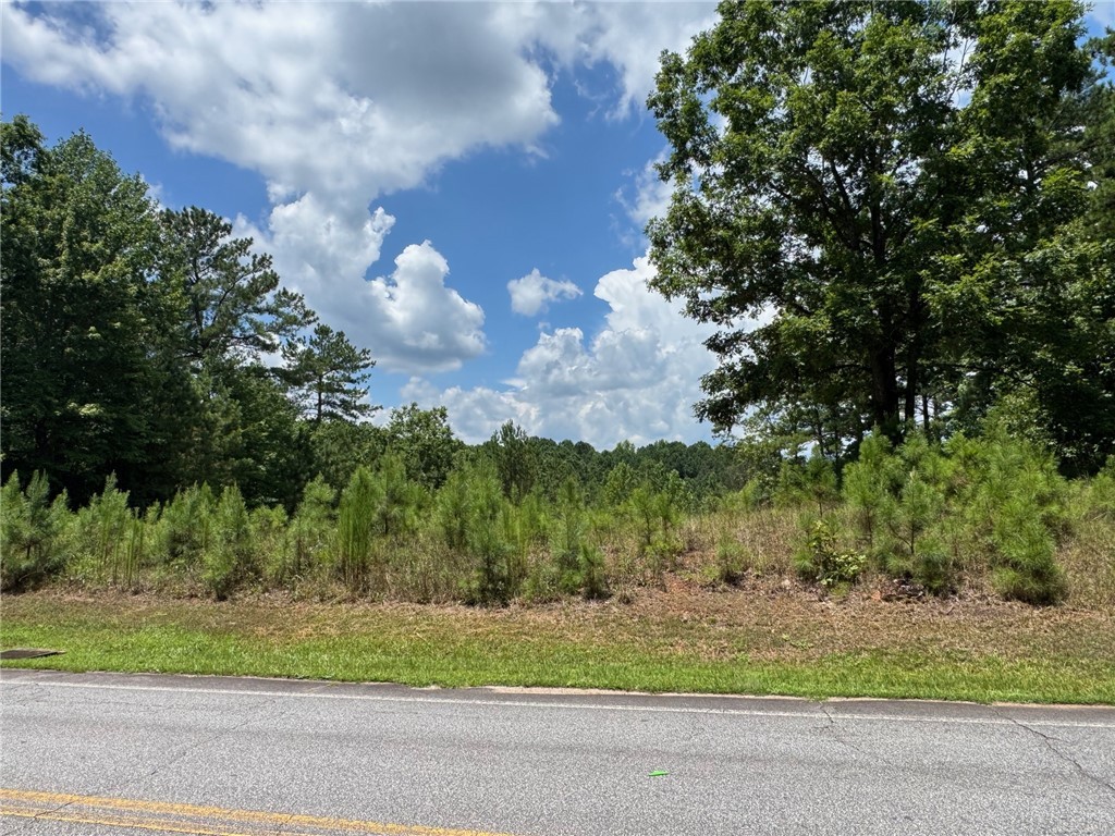 384 Cliffs S Parkway Salem, SC 29676 - Photo 8 of 10