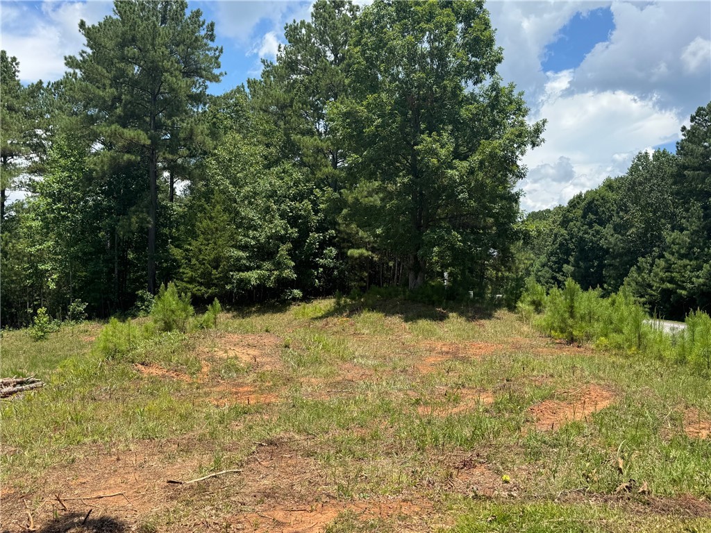 384 Cliffs S Parkway Salem, SC 29676 - Photo 10 of 10