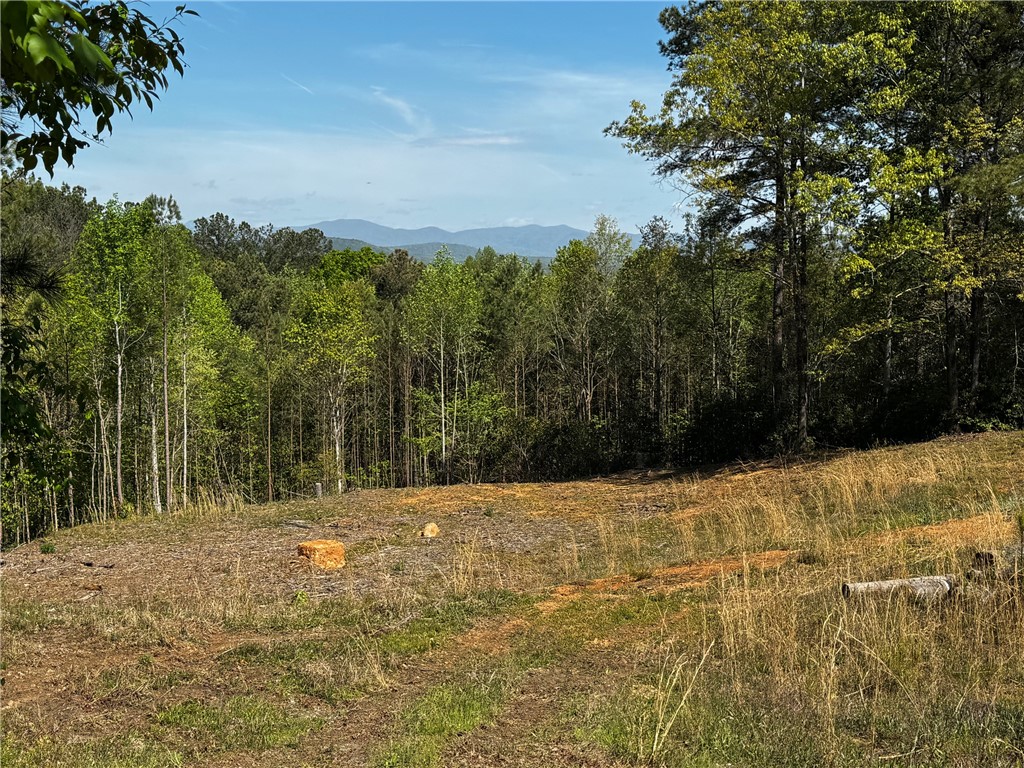 384 Cliffs S Parkway Salem, SC 29676 - Photo 10 of 10