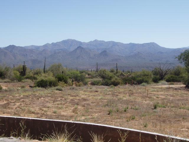 17528 East Cascalote Road Rio Verde, AZ 85263 - Photo 5 of 6 views