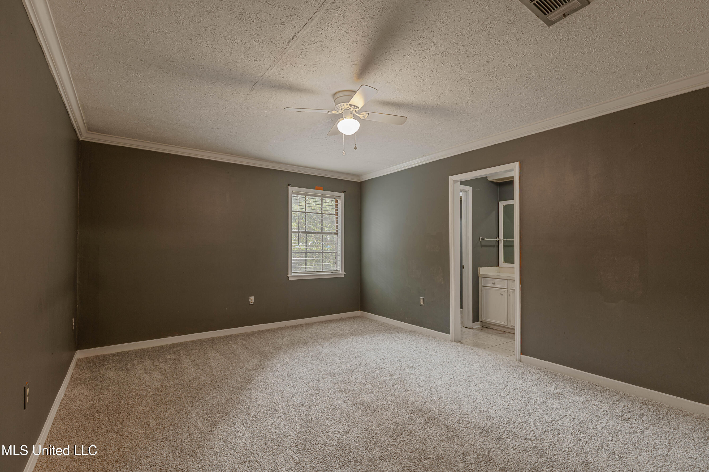 108 Wildwood Lane Brandon, MS 39047 - Photo 29 of 36 IMG_5964-Edit