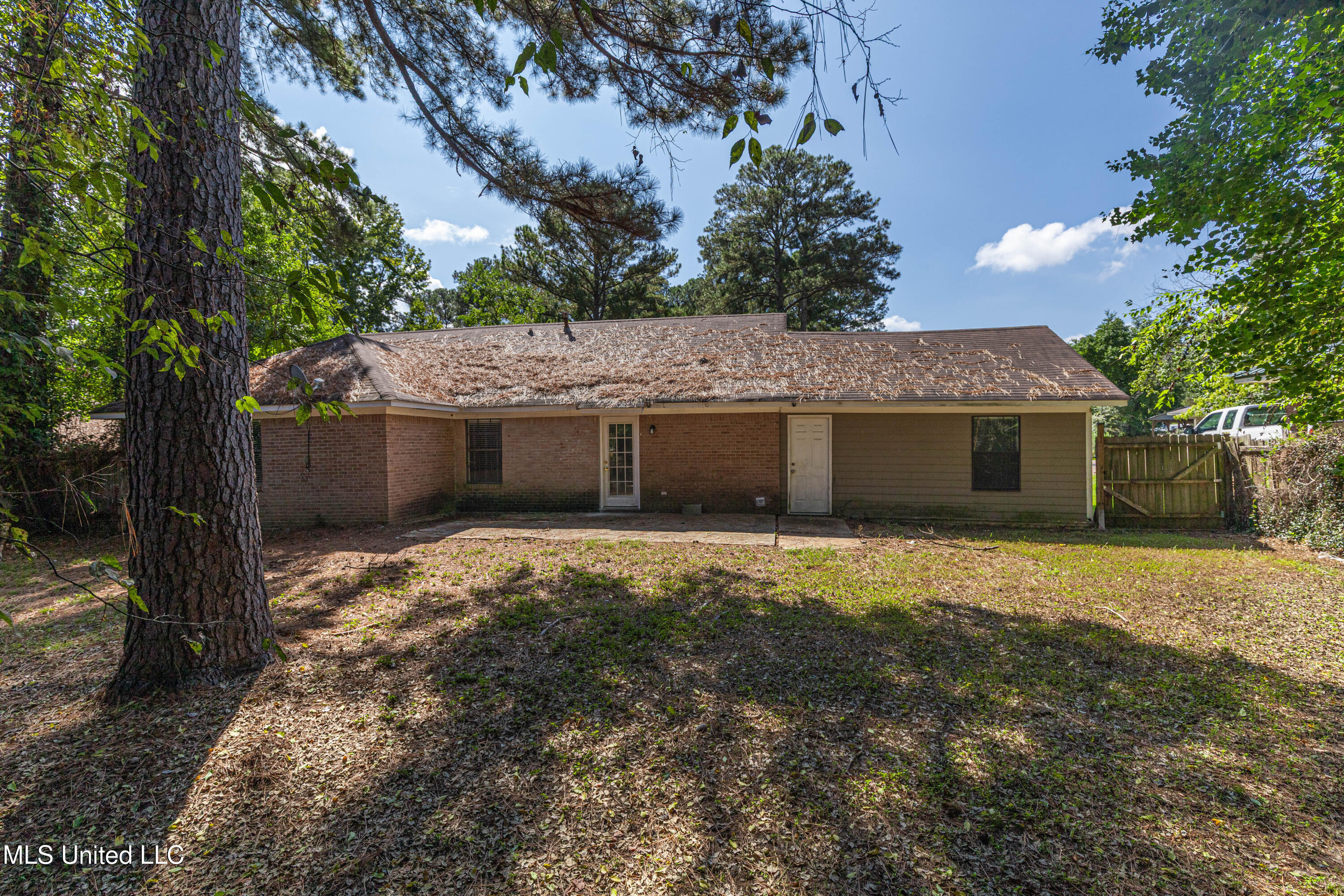 108 Wildwood Lane Brandon, MS 39047 - Photo 34 of 36 IMG_5984