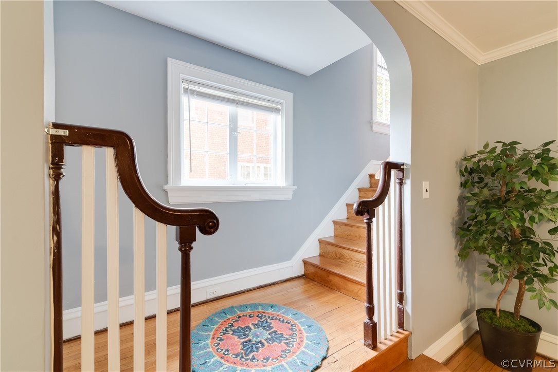807 Edgehill Road Richmond, VA 23222 - Photo 22 of 46 Gallery Image 22