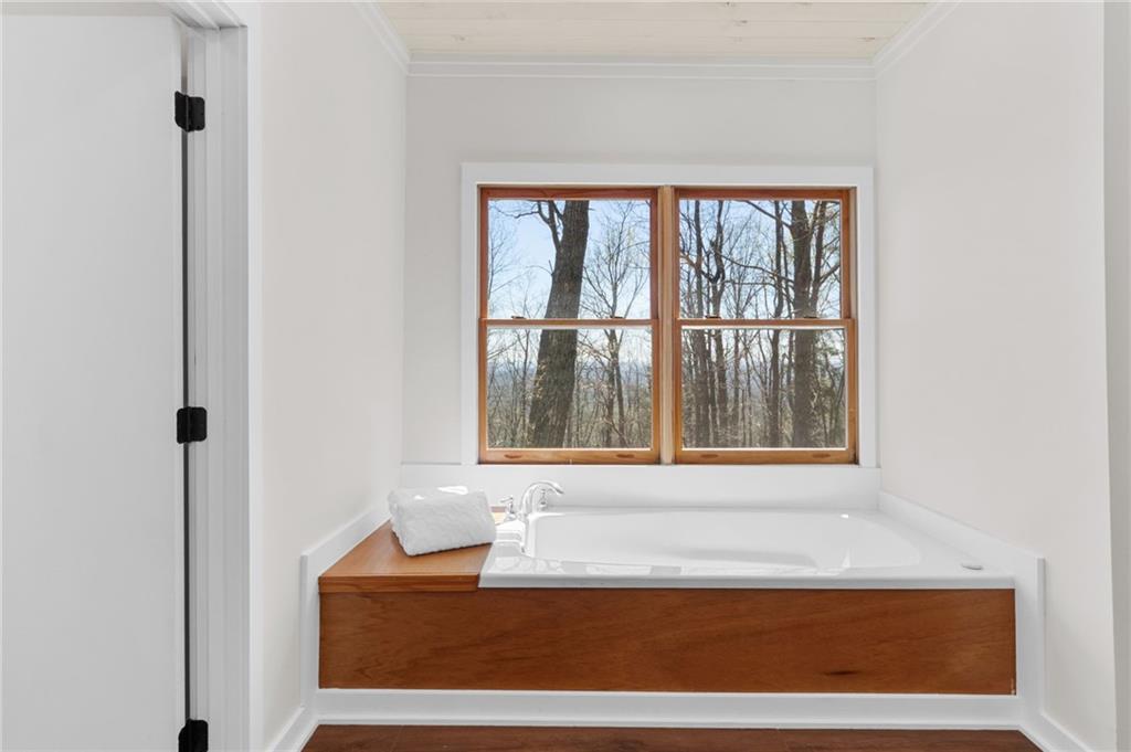 295 Starcross Lane Jasper, GA 30143 - Photo 40 of 65 a bathroom with a bathtub and next to a window