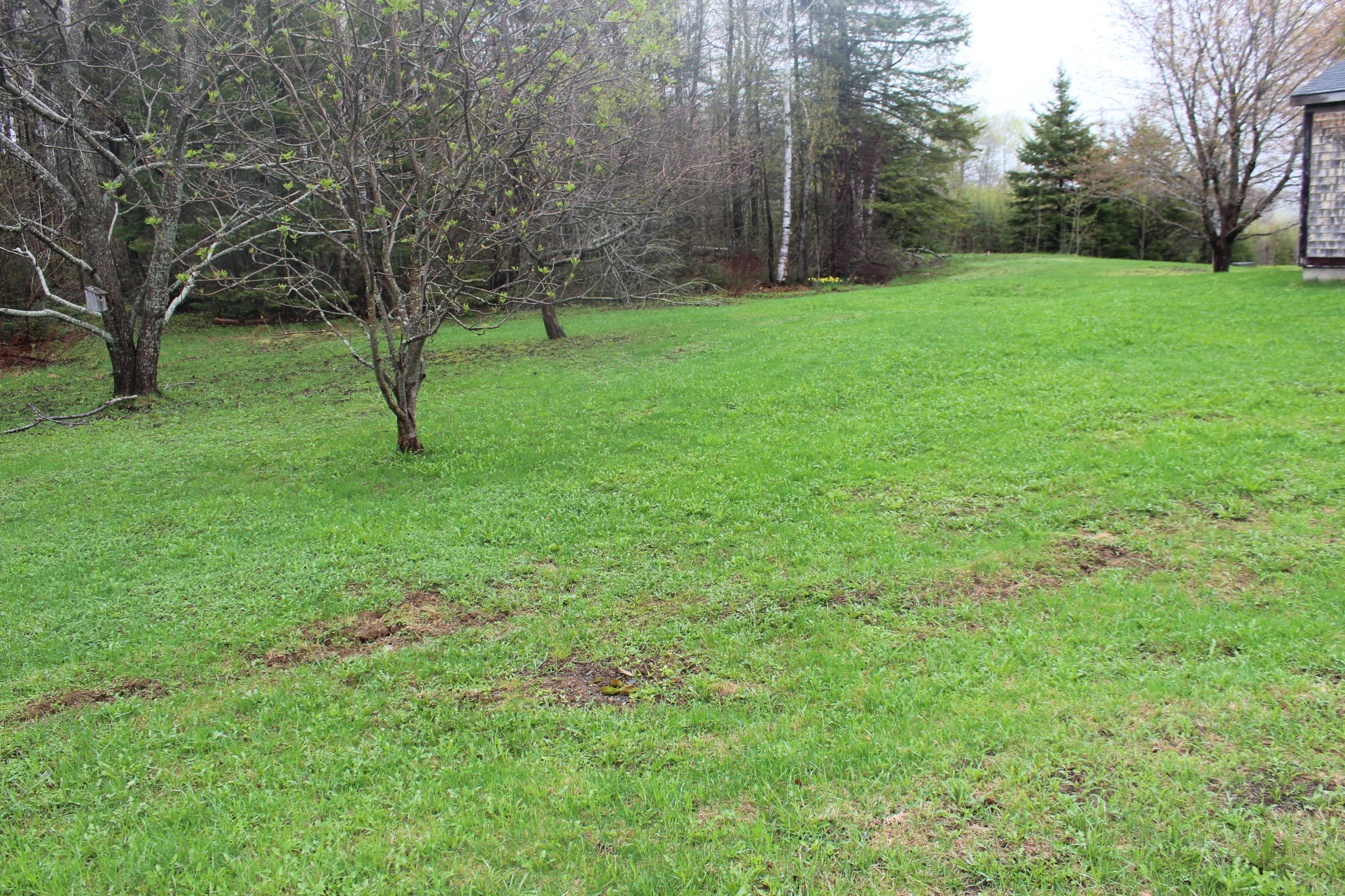 224 Drews Mill Road Linneus, ME 04730 - Photo 18 of 26 IMG_1211
