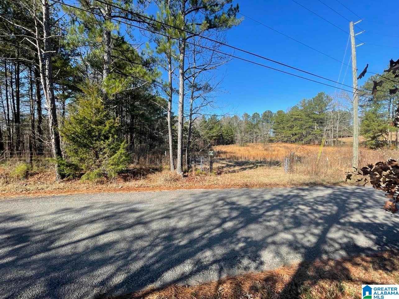 3260 County Road 27 Oneonta, AL 35121 - Photo 2 of 4