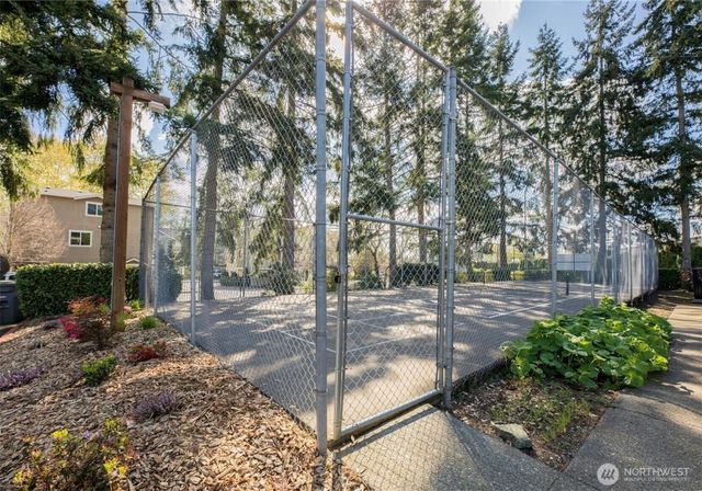 a view of a yard with plants and trees