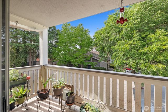 a view of a balcony with chairs and a potted plant