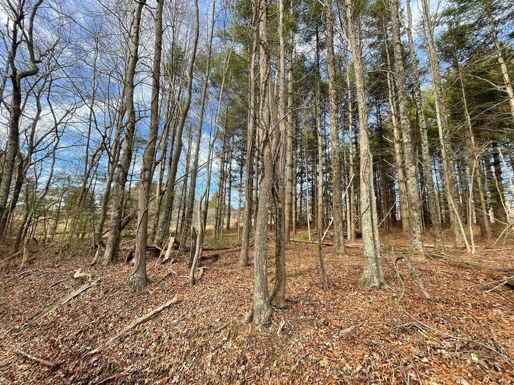 Tbd Keno Road, Unit 6 Laurel Fork, VA 24352 - Photo 7 of 7 Gallery Image 7