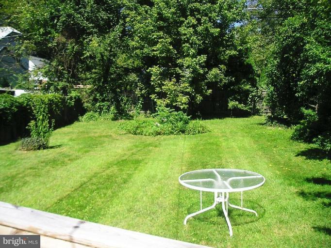 804 Overbrook Road Baltimore, MD 21239 - Photo 5 of 7 Back yard