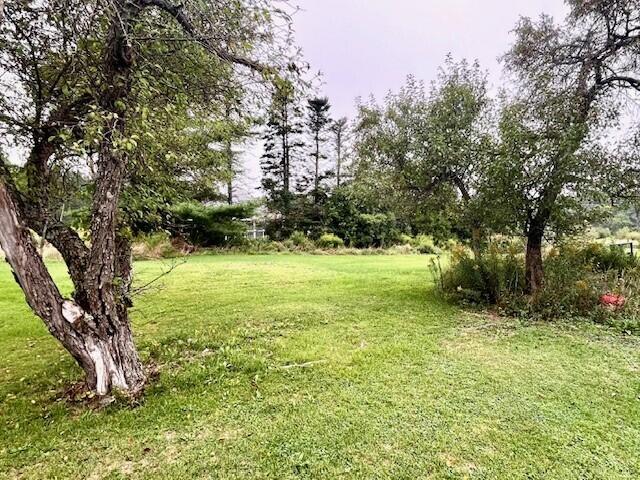 374 Main Street Ellsworth, ME 04605 - Photo 23 of 23 Clough3