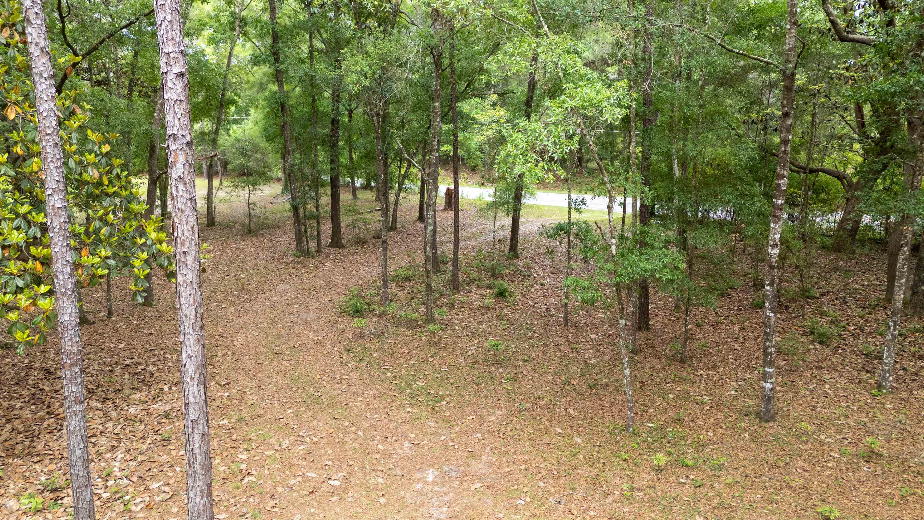 Tram Road Tallahassee, FL 32311 - Photo 13 of 29