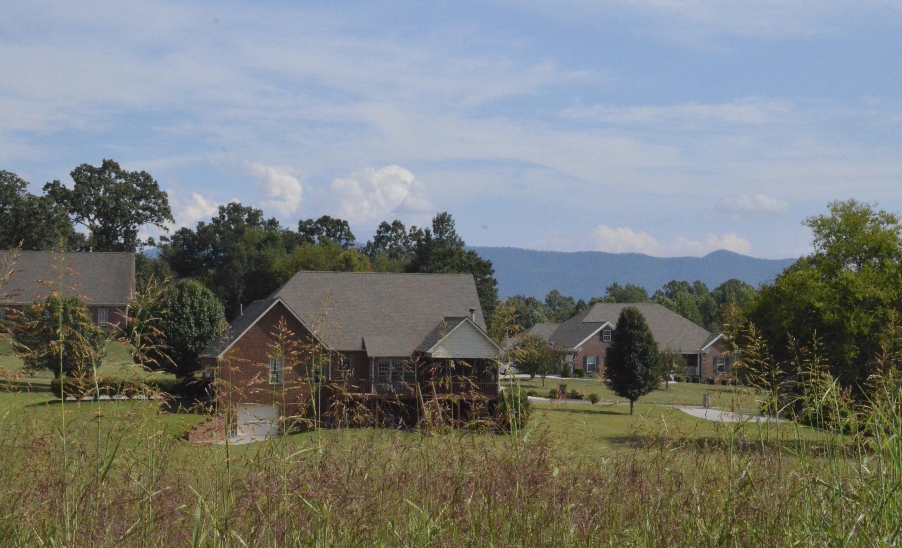5315 Rodeo Ridge Lane Seymour, TN 37865 - Photo 2 of 6 View across Ph 1