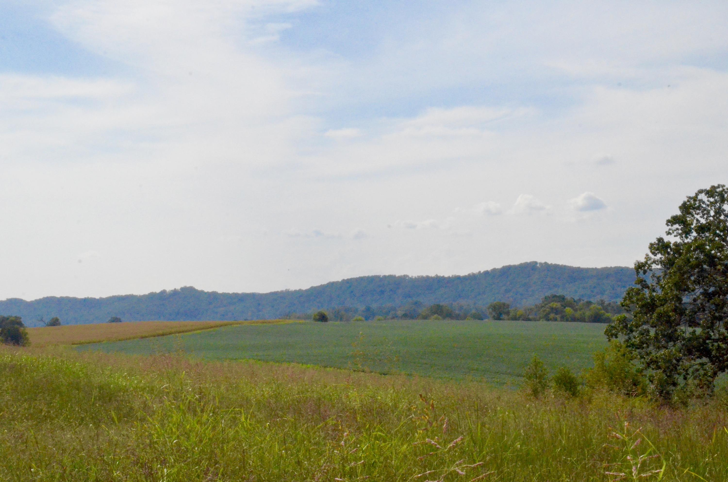 5315 Rodeo Ridge Lane Seymour, TN 37865 - Photo 5 of 6 View towards Bays Mtn.
