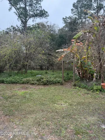 a view of a backyard with large trees