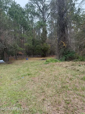 a view of a yard with a tree