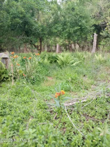 a view of a yard with trees