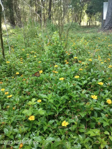 a view of a yard with trees