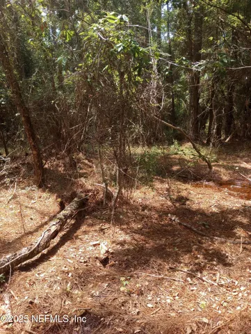 a view of a backyard