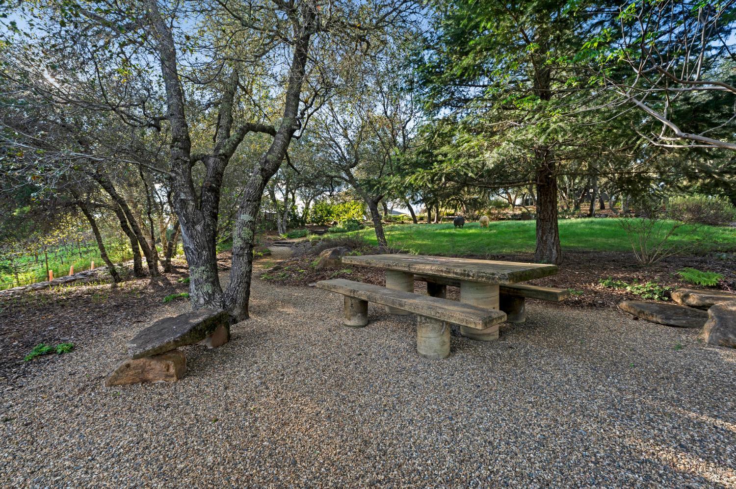 2557 Trinity Road Glen Ellen, CA 95442 - Photo 44 of 50