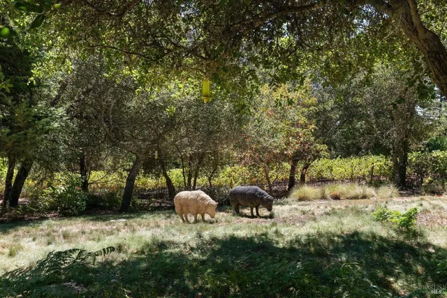 $3,995,000 | 2557 Trinity Road, Glen Ellen, CA 95442