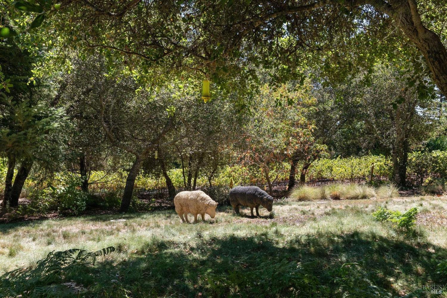 2557 Trinity Road Glen Ellen, CA 95442 - Photo 45 of 52