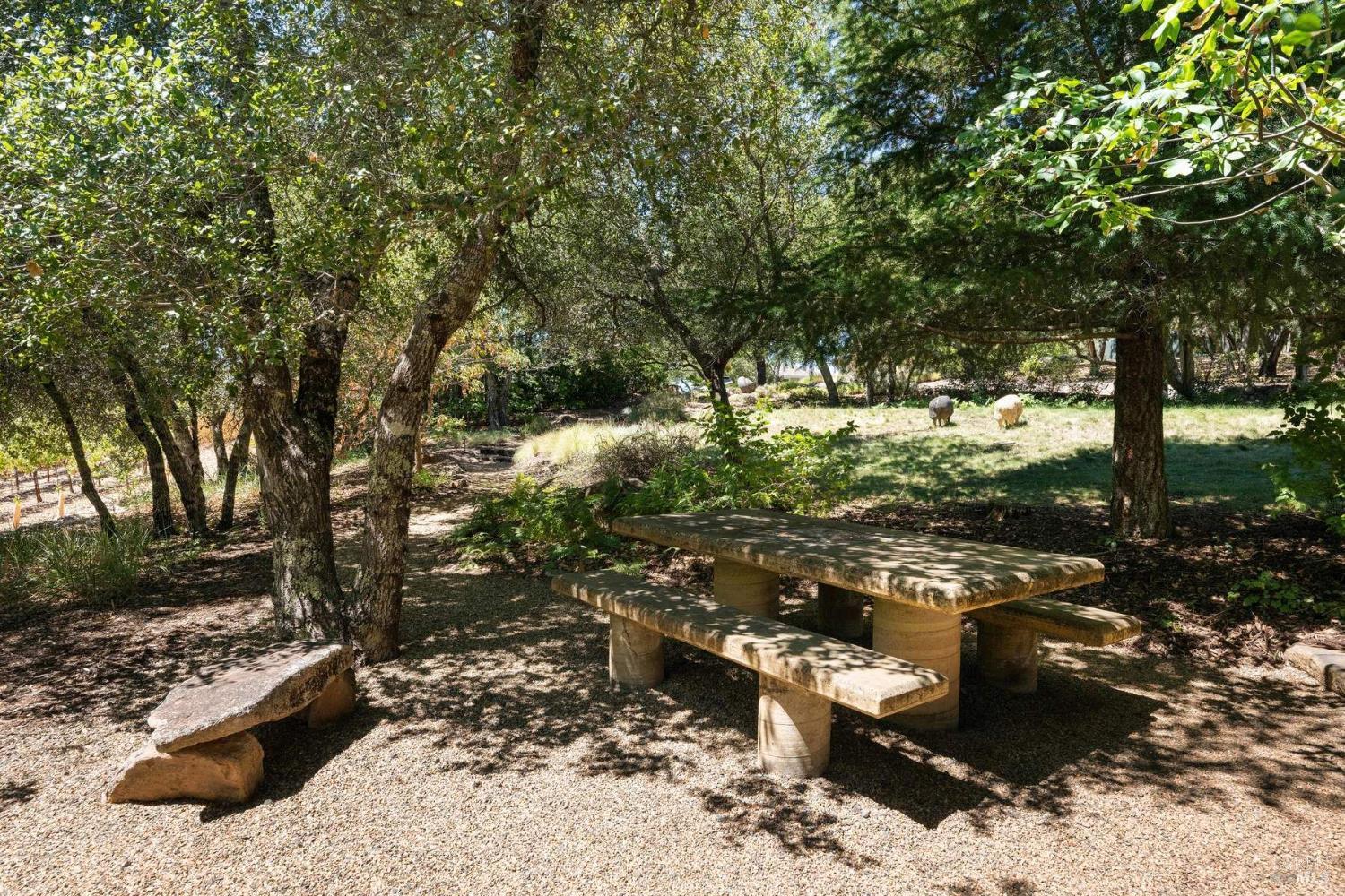 2557 Trinity Road Glen Ellen, CA 95442 - Photo 46 of 52