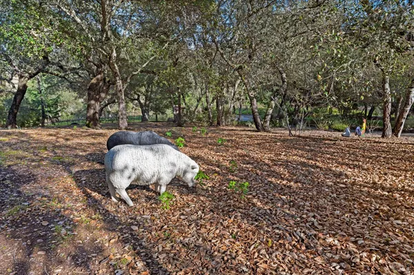 $3,750,000 | 2557 Trinity Road, Glen Ellen, CA 95442