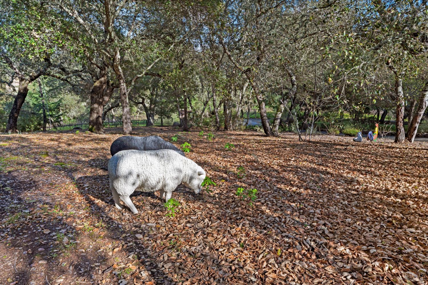 2557 Trinity Road Glen Ellen, CA 95442 - Photo 47 of 50