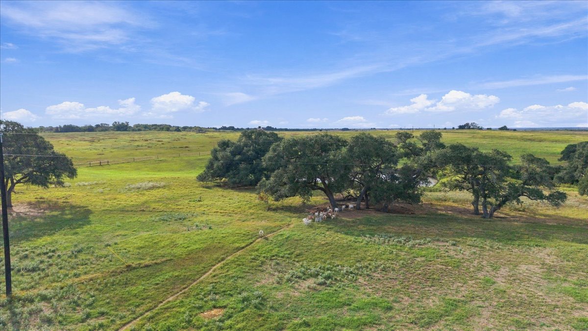 2561 Roitsch Road Schulenburg, TX 78956 - Photo 9 of 16 Gallery Image 9