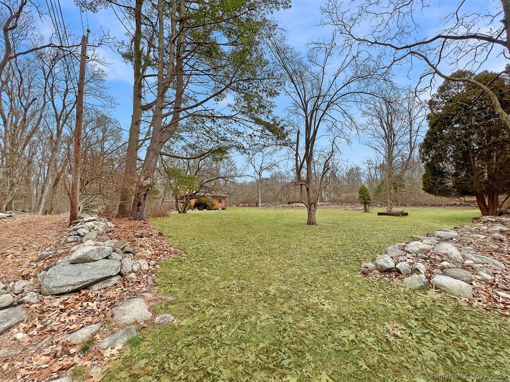 180 Catamount Road Fairfield, CT 06824 - Photo 3 of 3 a view of yard with tree