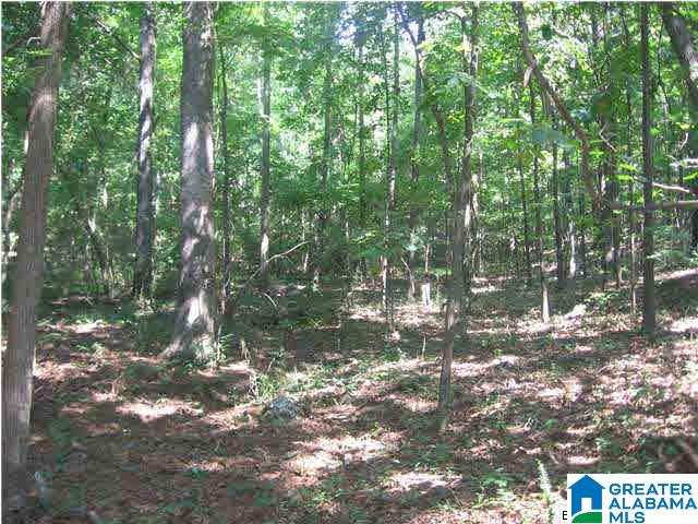 Caldwell Mill Road, Unit 6 Birmingham, AL 35242 - Photo 3 of 6