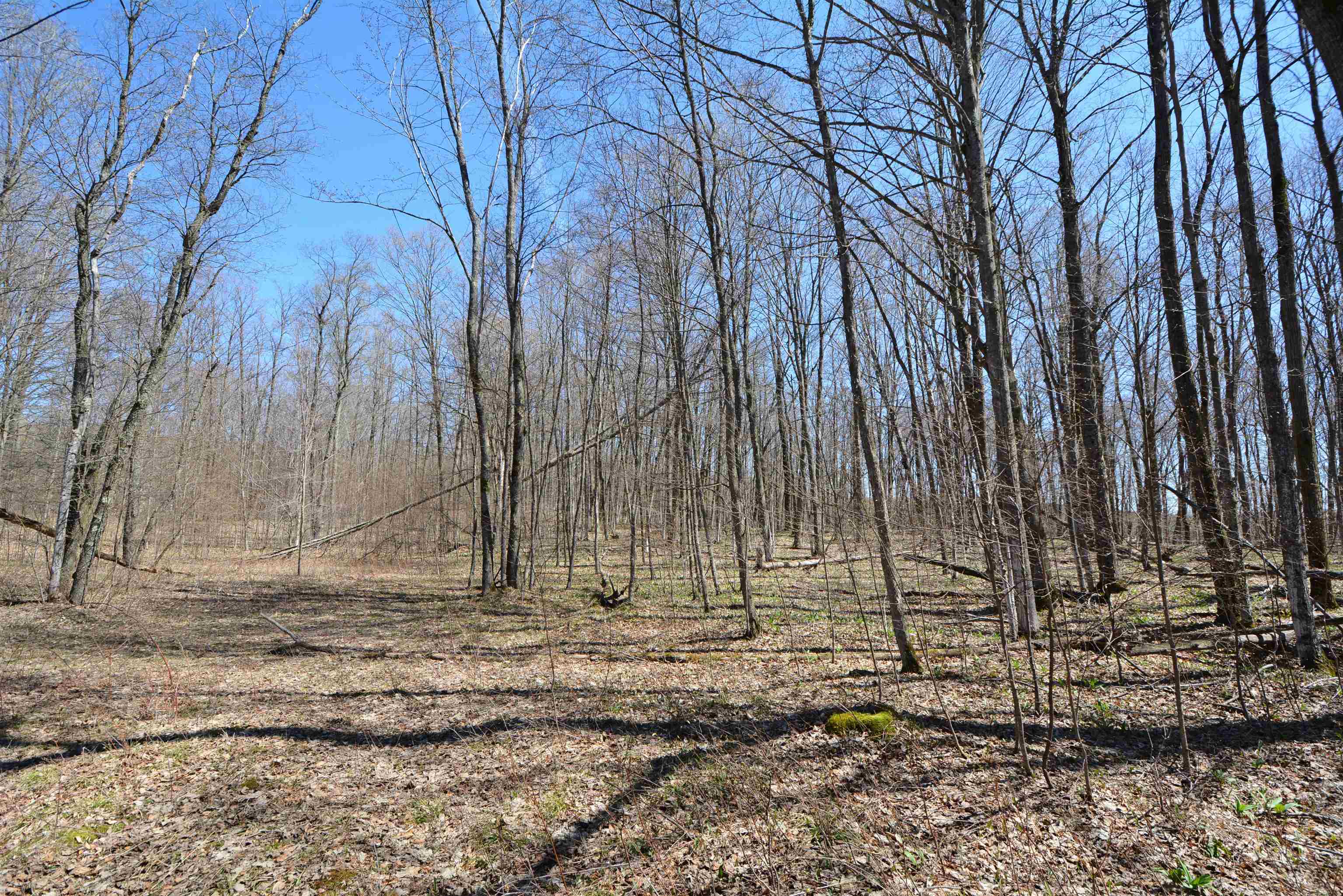 11100 Fewins Road Honor, MI 49640 - Photo 31 of 34